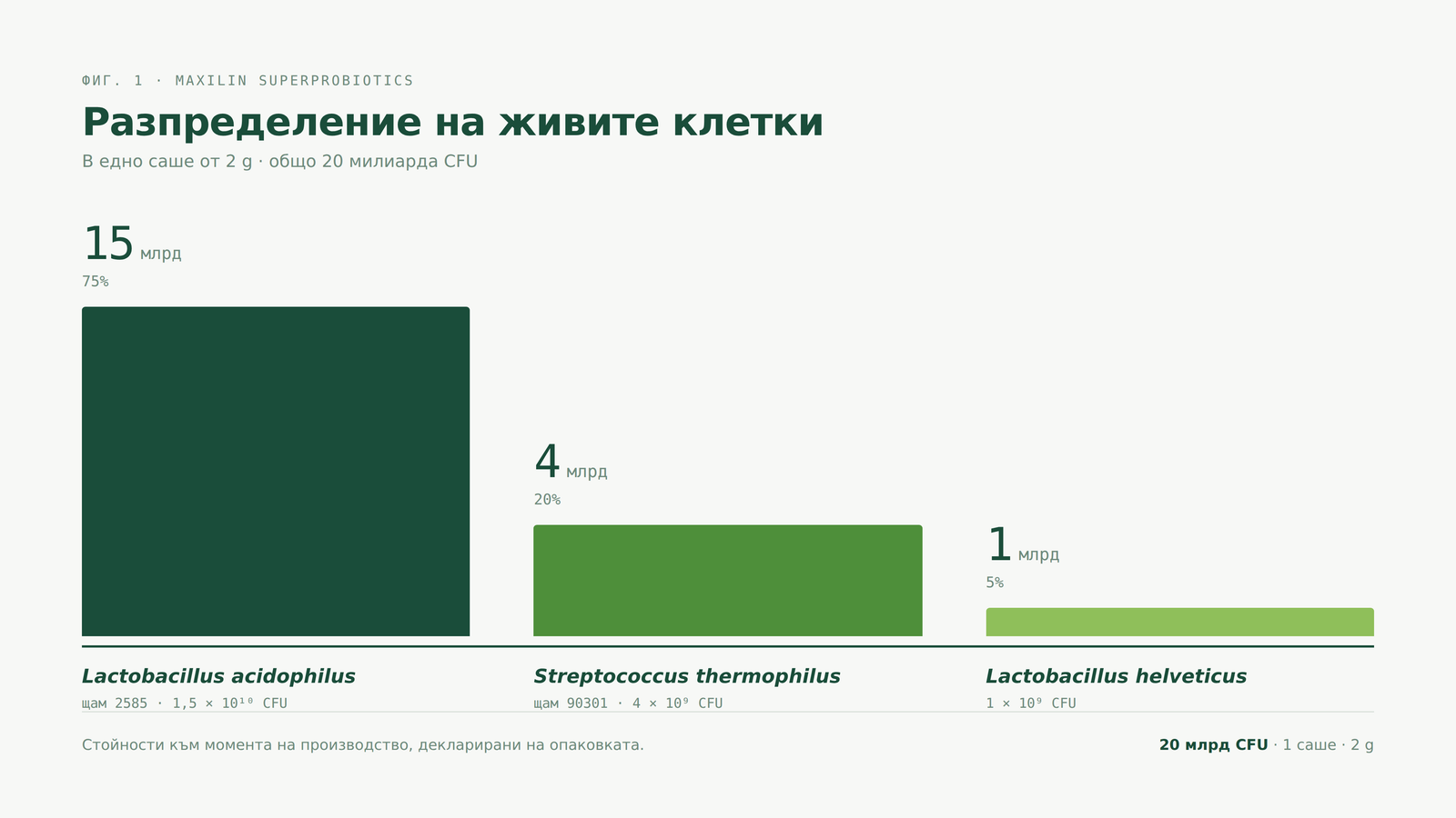 Фиг. 1 — разпределение на живите клетки в едно саше MaXilin по щамове